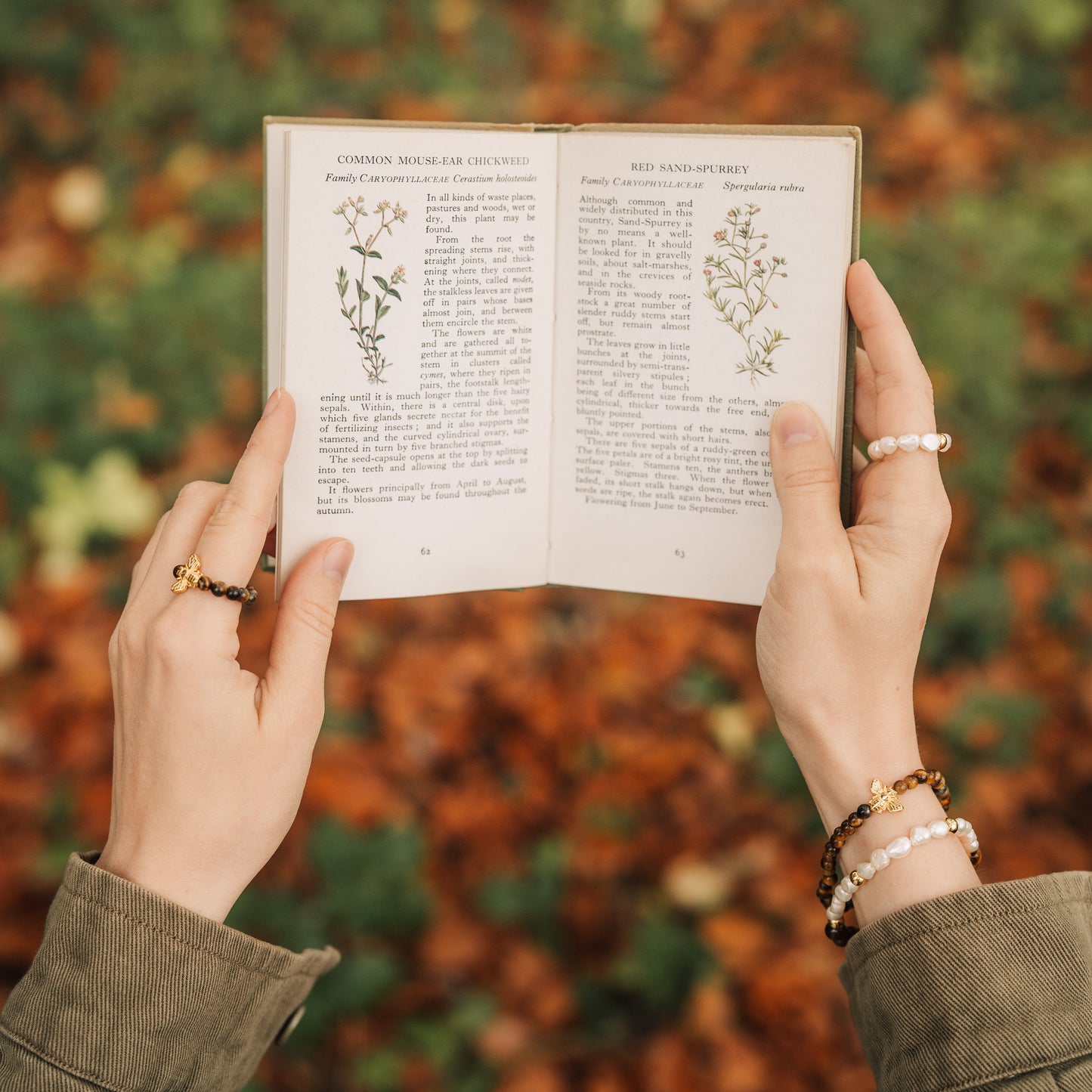Armband Tigerauge & Süsswasserperlen vergoldet