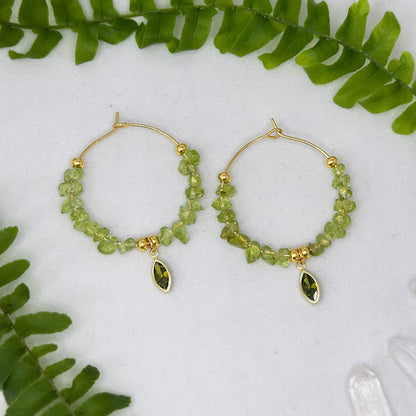 Lime Light - Ohrringe - Peridot - vergoldet